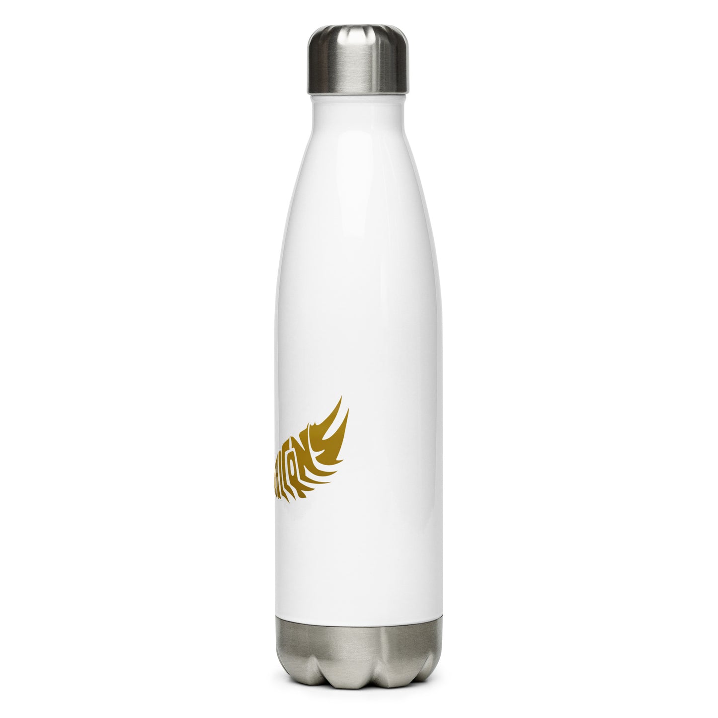 Stainless steel water bottle