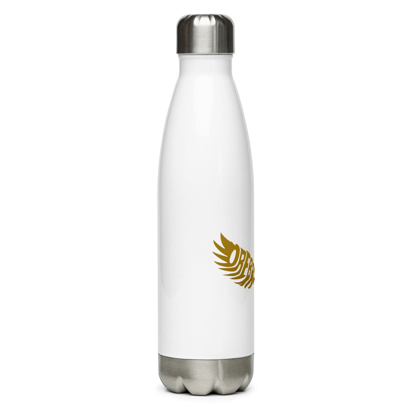 Stainless steel water bottle